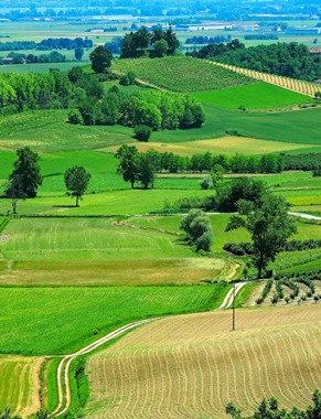 Seminario Esperienziale A Contatto Con La Natura Per Il Benessere Del Paziente Oncologico E Dei Suoi Familiari